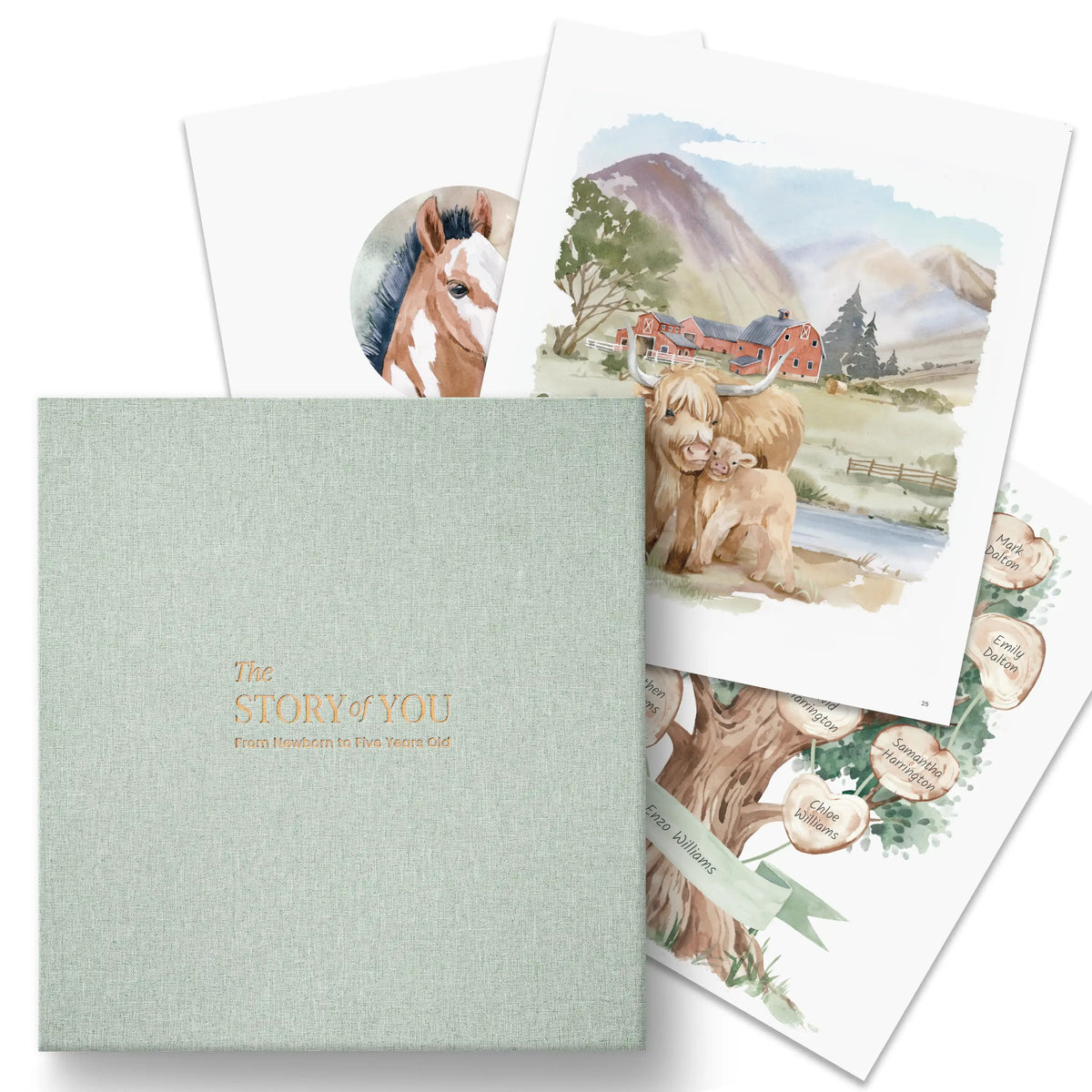 Bramble Farm Baby Memory Book (0–5 Years) (Copy)