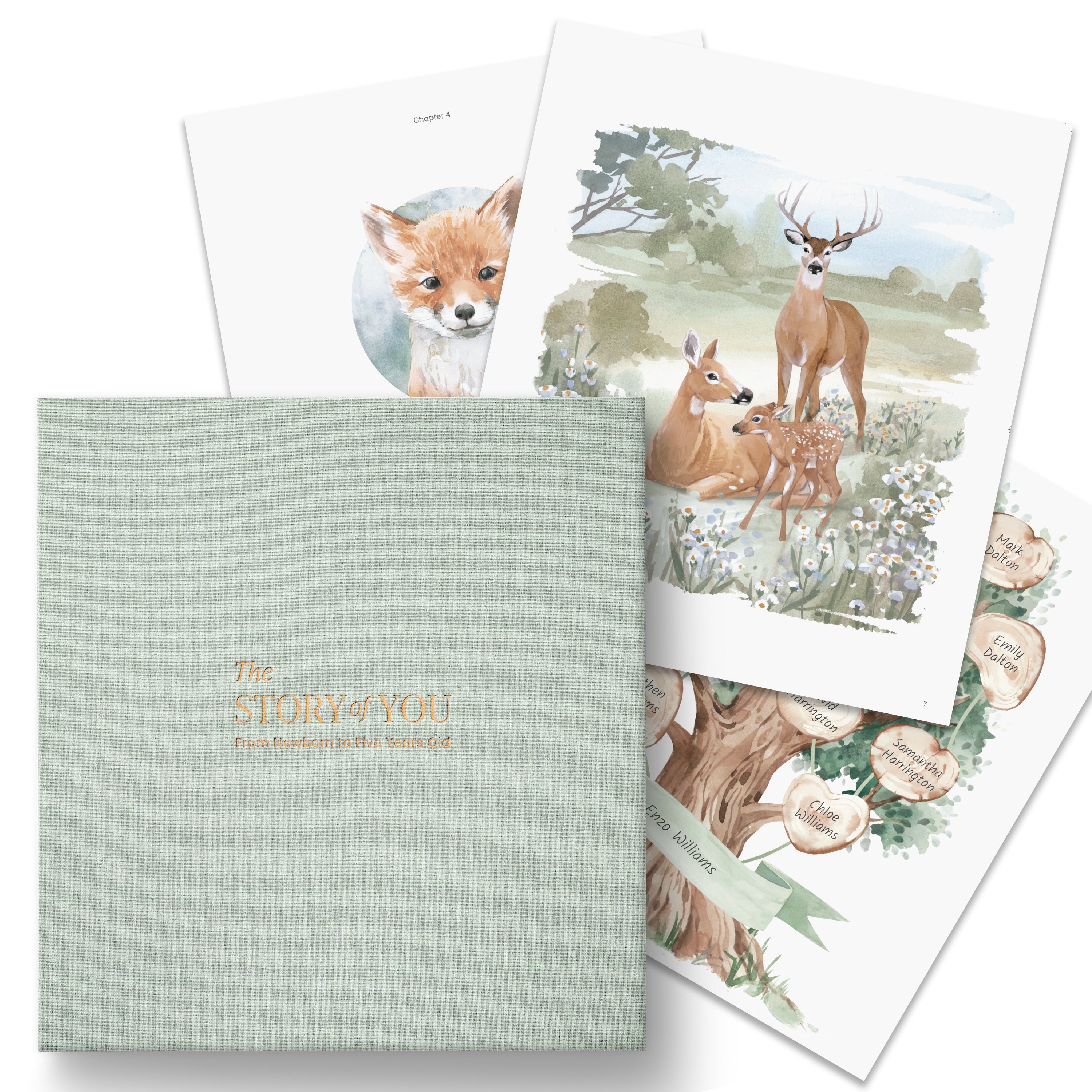 Forest Baby Memory Book (0–5 Years)