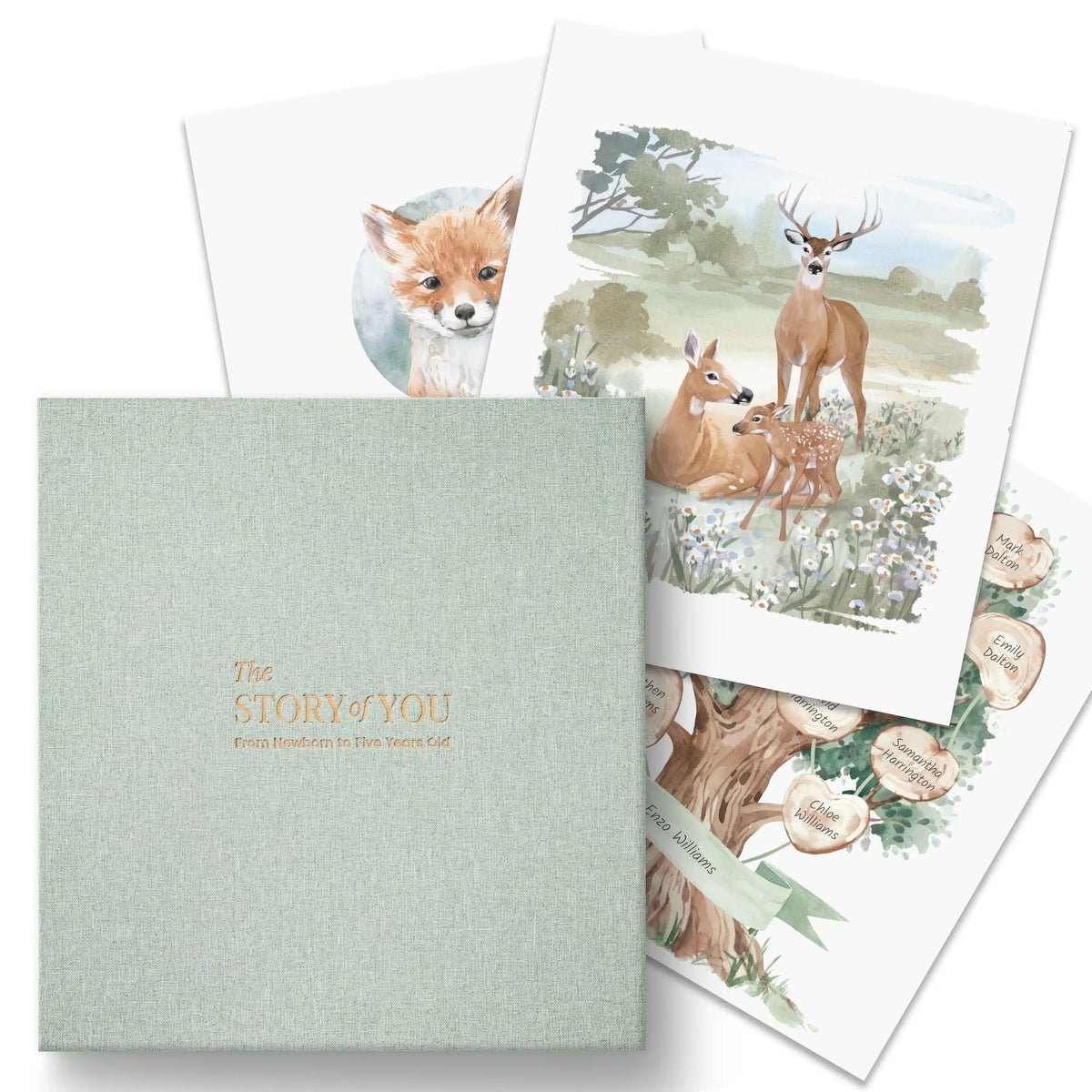 Woodland Baby Memory Book (0–5 Years)