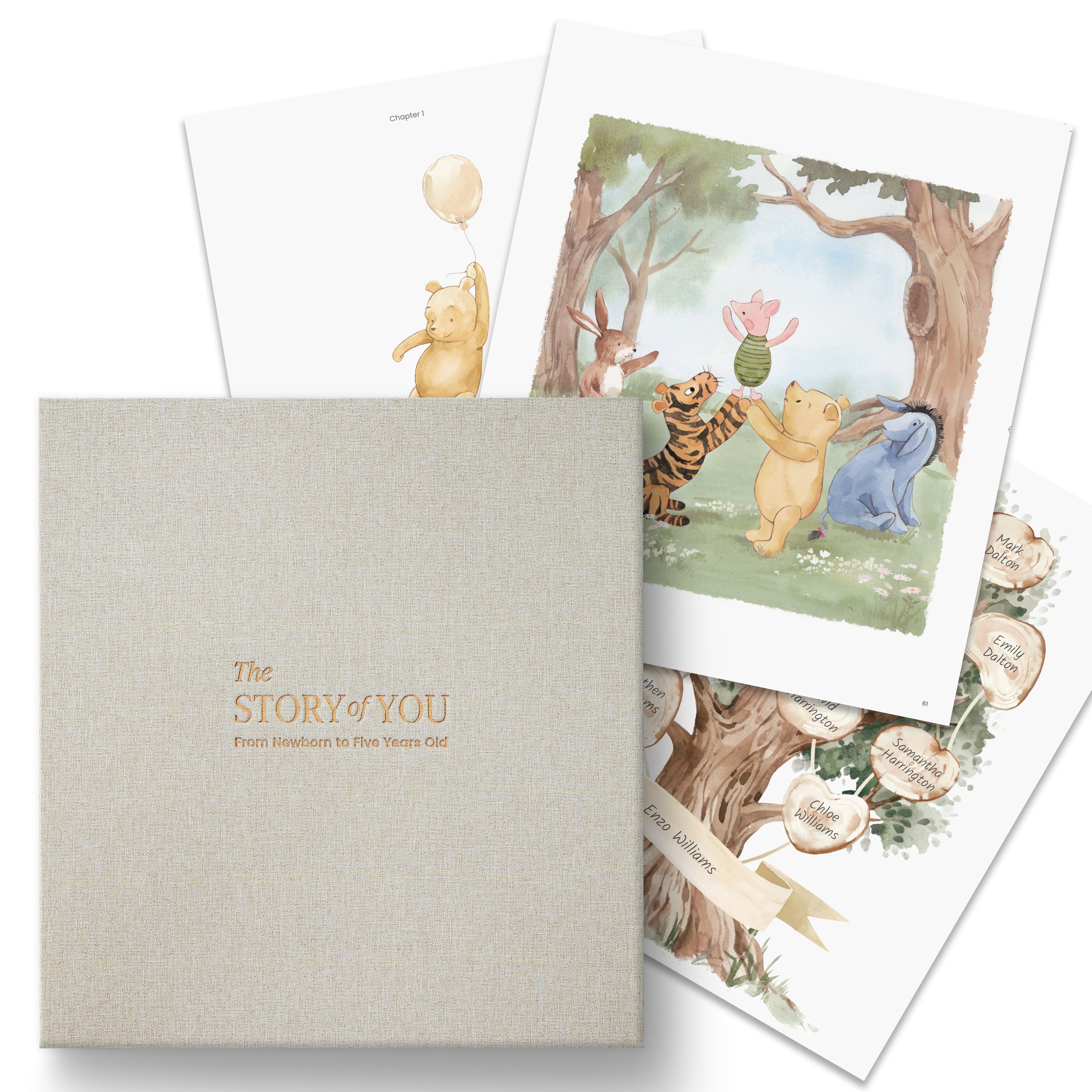 Hunny Lover Baby Memory Book (0–5 Years)
