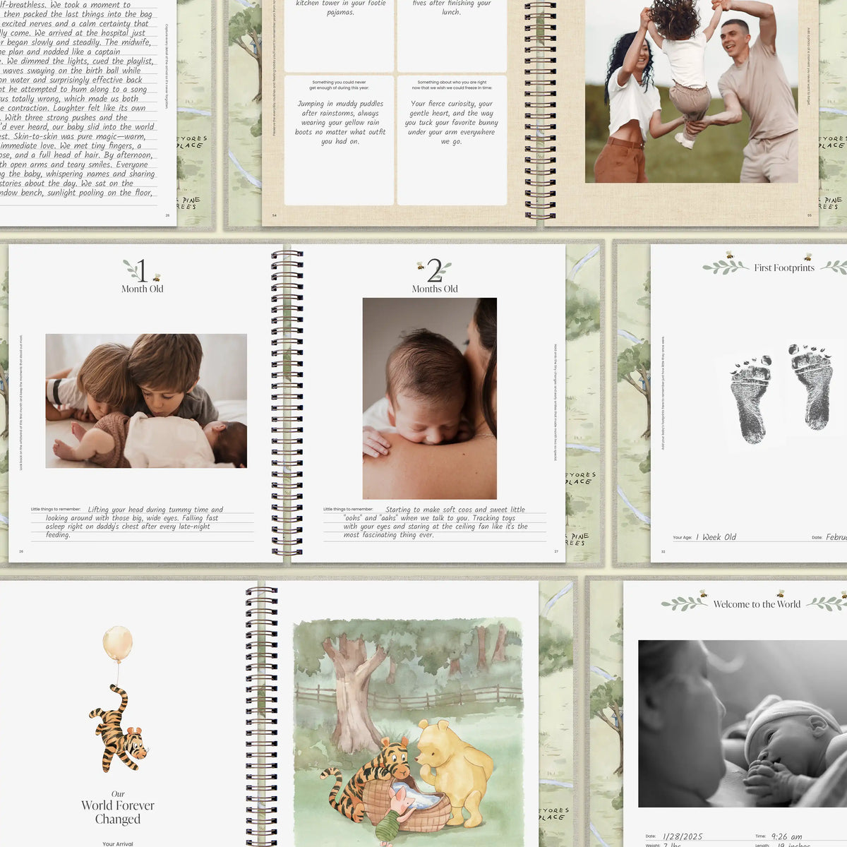 Hunny Bear Baby Memory Book (0–5 Years)